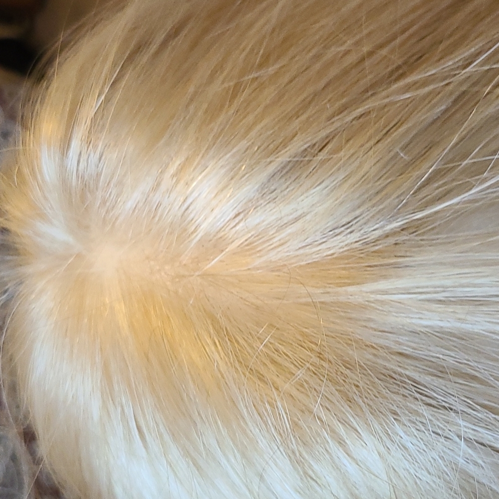 Synthetic short blonde wig
